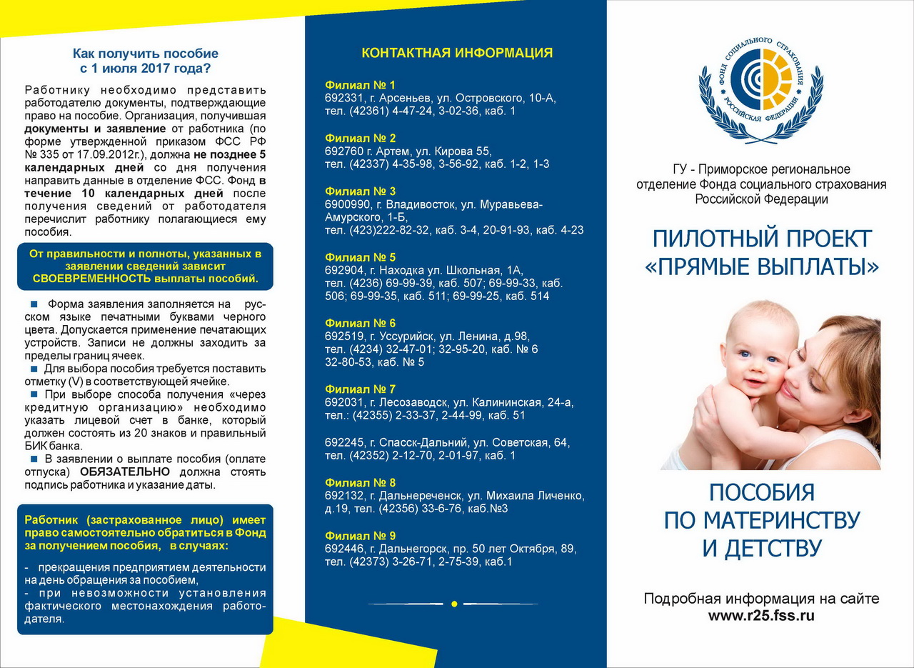 Пособия ленинградская область. Буклеты по пособиям. Брошюры про пособия. Пособия по материнству и детству. Социальные пособия брошюра.